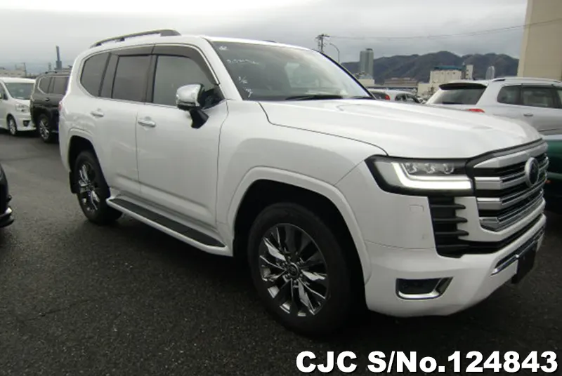 Toyota / Land Cruiser 2021