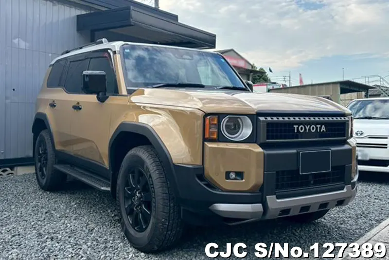 Toyota / Land Cruiser 250 2024